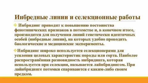 Линией генетика