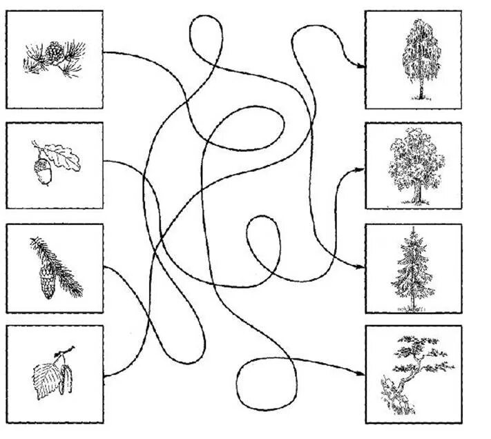Конспект занятия путешествие в лес. Деревья задания для дошкольников. Деревья занятия для дошкольников. Логопедическое задание деревья. Задания деревья в подготовительной группе.