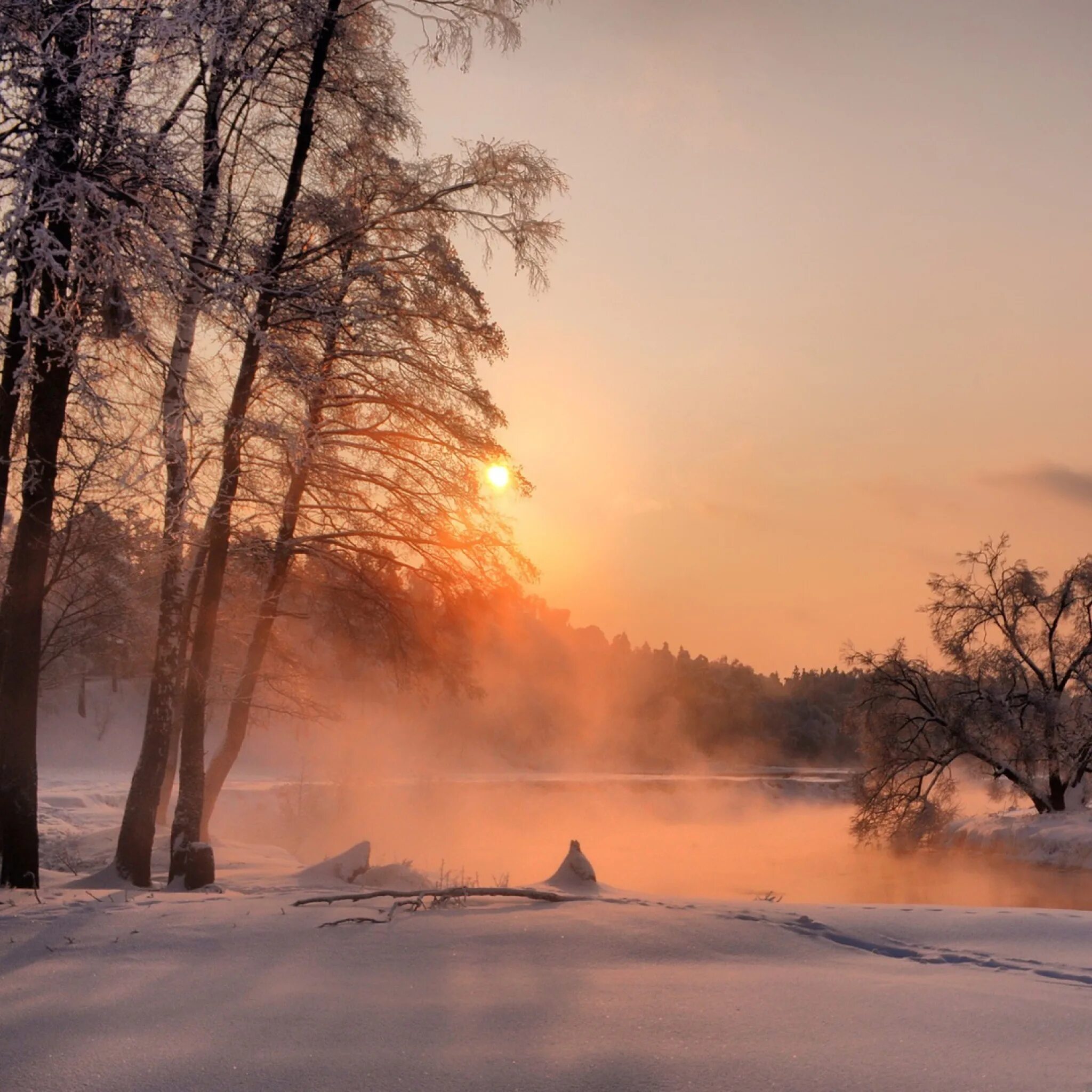 Утро природа февраль. Декабрьское утро Тютчев. Рассвет в лесу зимой. Зимний закат на реке. Декабрь природа.