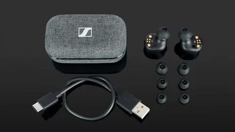 Sennheiser momentum true 2