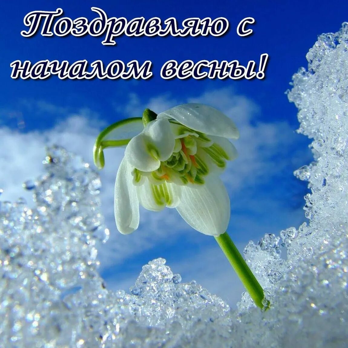 Картинка с последним днем зимы