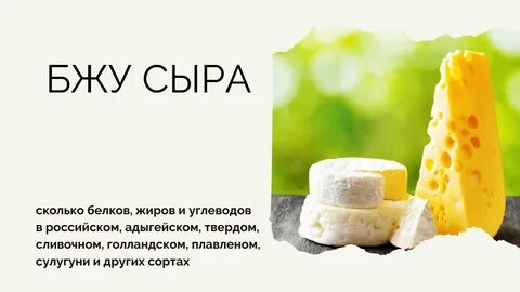 Сколько г белка в сыре