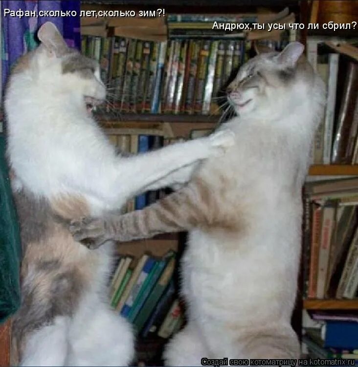 Сколько лет сколько зим не виделись. Столько лет сколько зим. Привет дружище. Сколько лет сколько зим не виделись. Картинка сколка лет сколка зима.