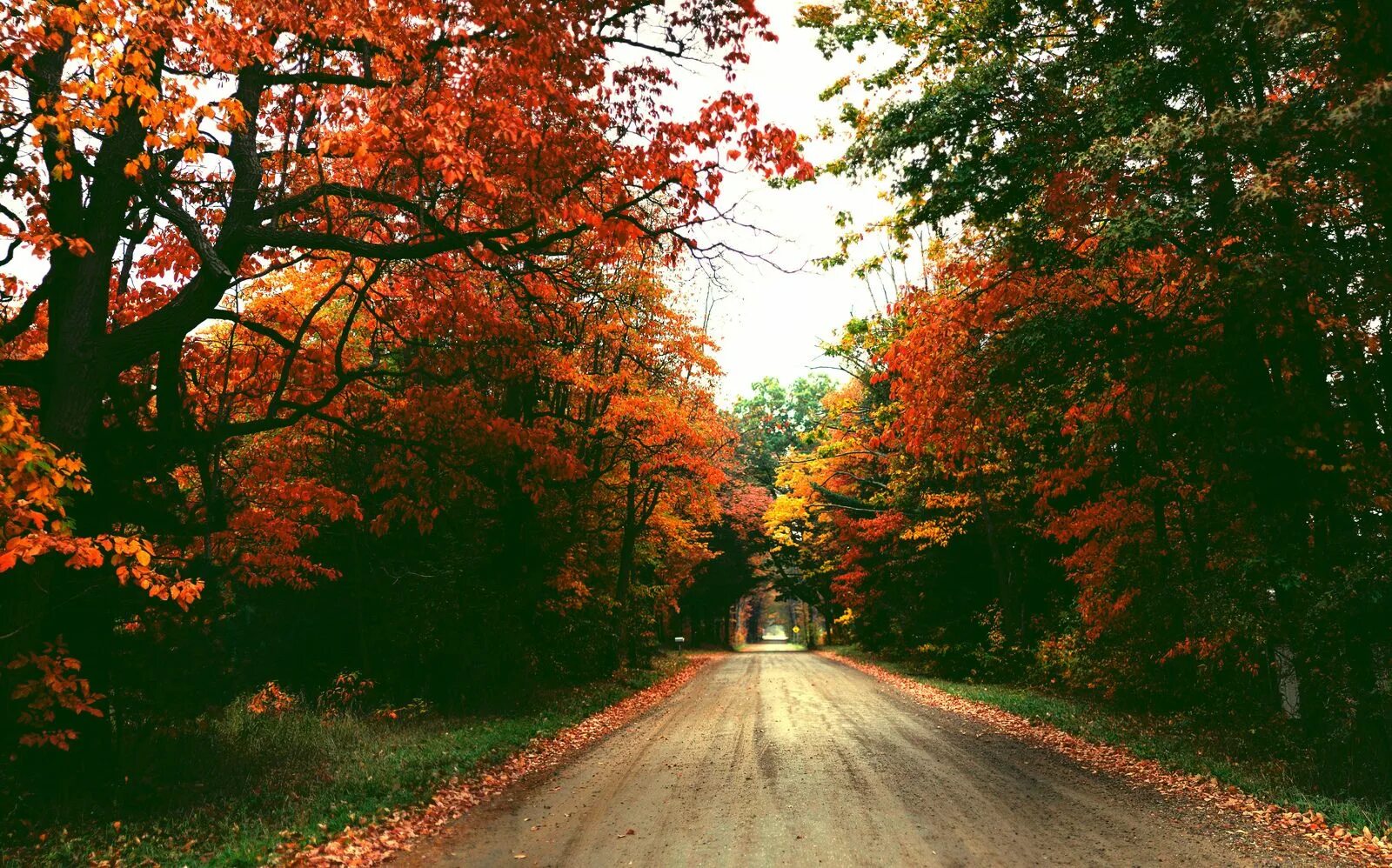 By autumn i. Осень дорога тумблер. осеннее небо. autumn tumblr.