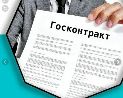 Госконтракты участники