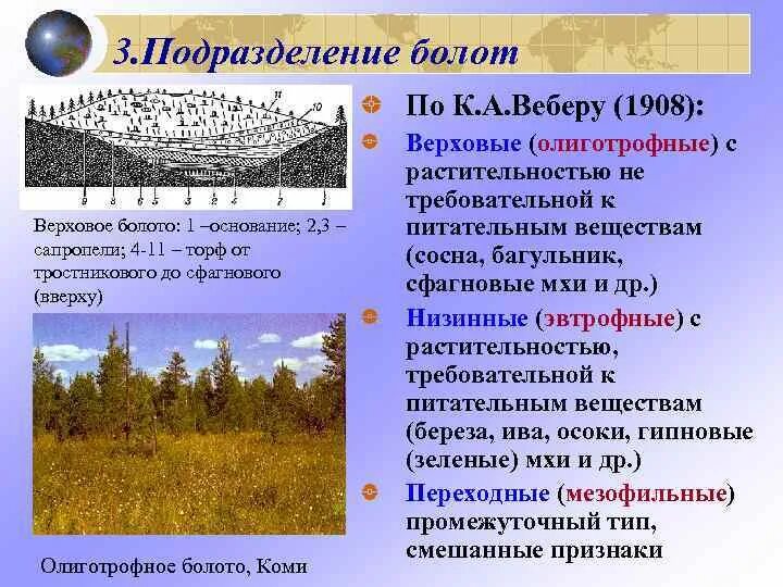 Для какого типа болот характерна эвтрофная растительность. Эвтрофные болота. олиготрофные эвтрофные и мезотрофные болота. олиготрофное болото. олиготрофная растительность.