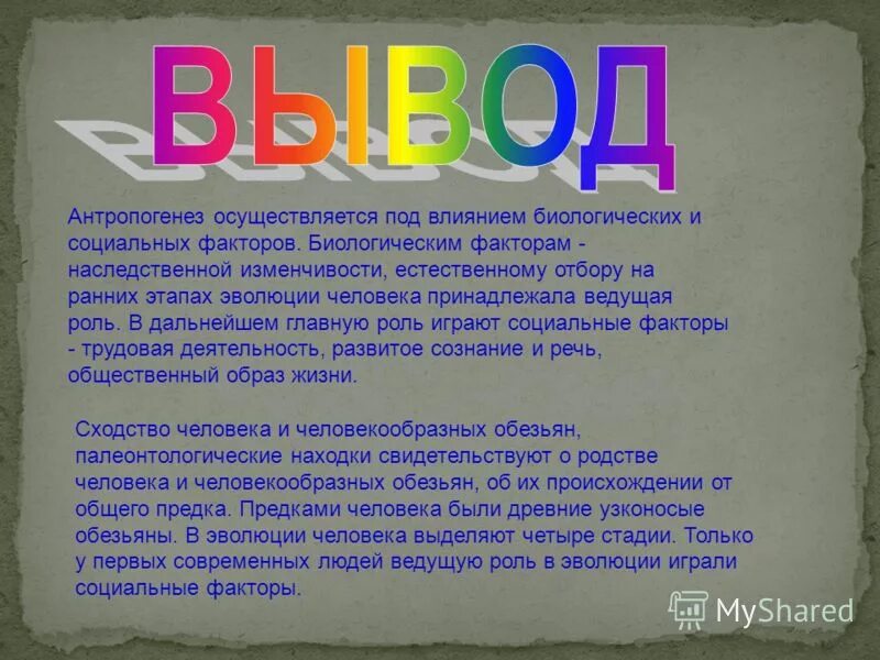 Ведущую роль эволюции играет. Роль биологических и социальных факторов в эволюции человека. вывод по теме эволюция человека. ведущую роль в эволюции человека играют.