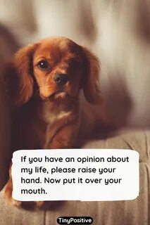 Funny saying