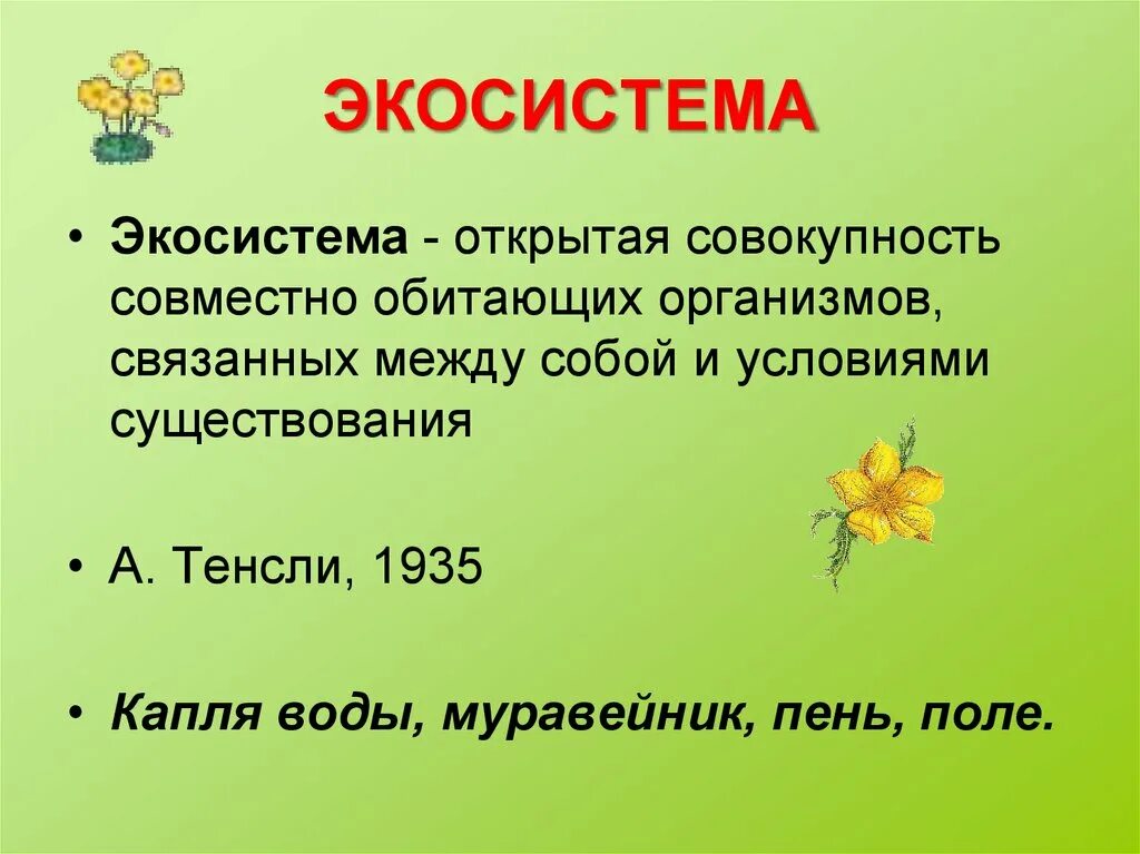 Совокупность совместно обитающих организмов. Открытая экосистема. экосистема это совокупность совместно обитающих. открыл экосистема;. открытая экологическая система.