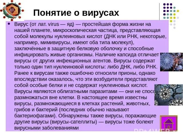 Чем отличается бактерия от вируса простыми словами. Вирусы отличаются от бактерий. Отличие вируса от бактерии. Вирусы и бактерии в чем разница. Чем отличается вирус от бактерии.