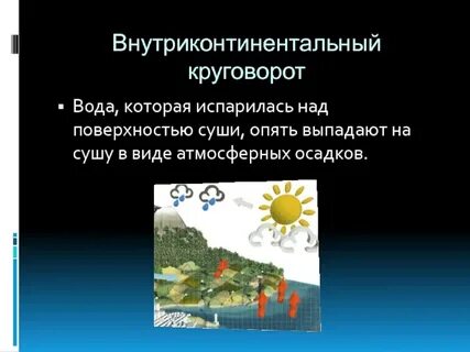 Значение круговорота в природе