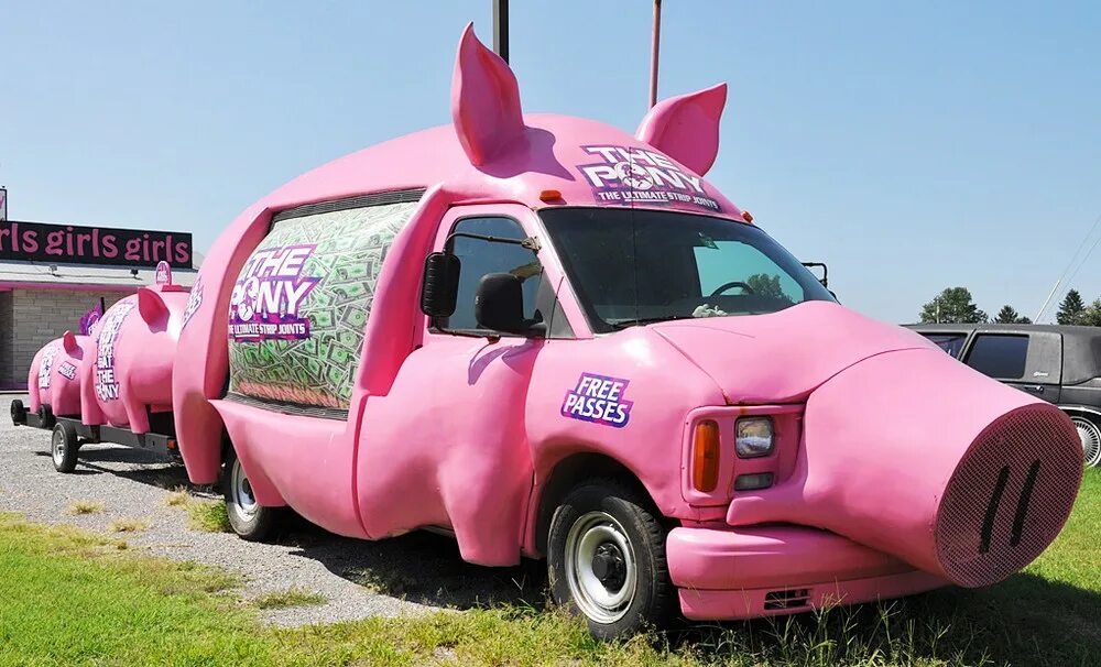 свинья в машине. хрюшка машина. машина хрюшка. хрюшка машина. свинья в машине.