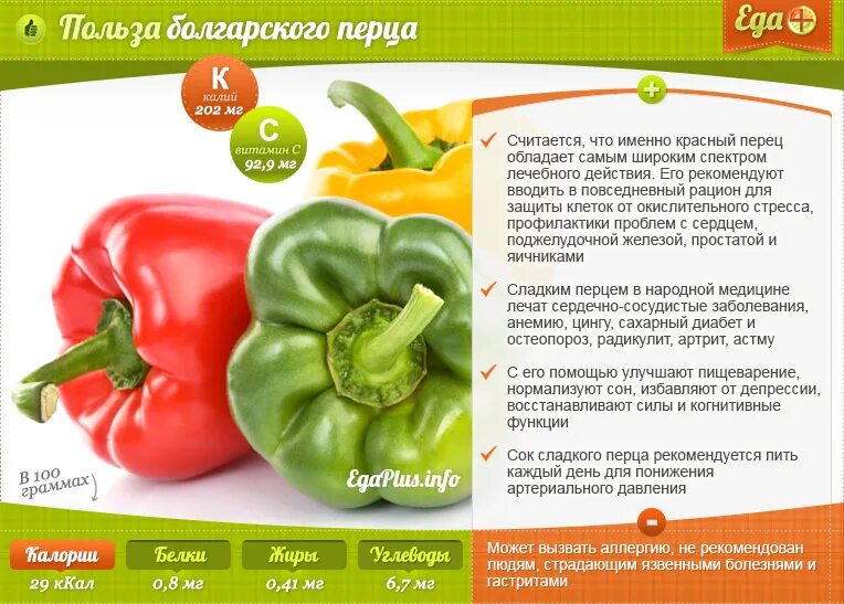 Польза перца болгарского для организма