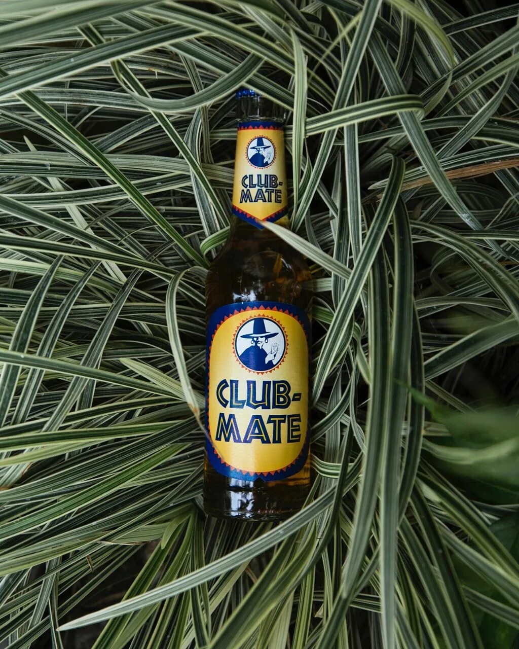 поднос с напитками. день витаминных напитков. необычная подача коктейлей. напитки в бутылках и банках. газировка.