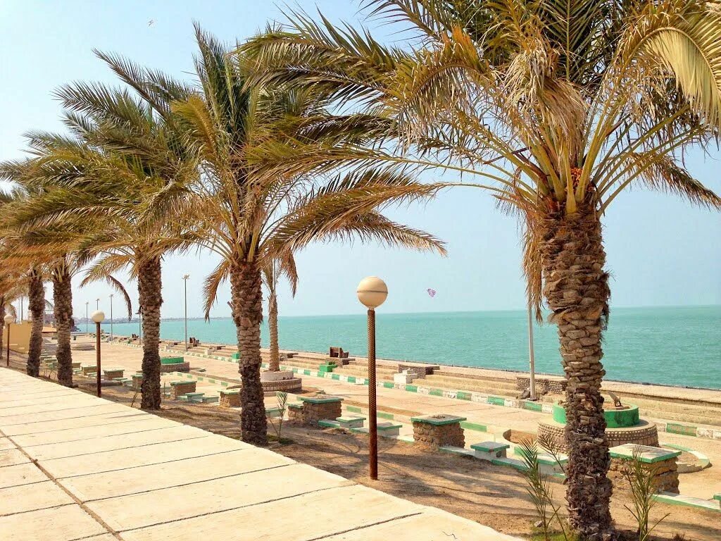 Нируга бушер. Бушер город. Поселок морварид иран. Bushehr иран. Бушир.