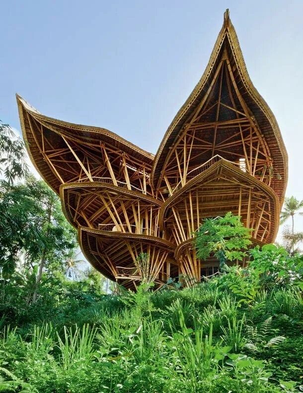Природные формы дерева. Бамбуковый дом на Бали. Архитектура Бали. Убуд Бали бамбуковые домики. Sharma Springs Бали.