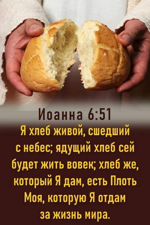 Сходи за хлебом магазин. Хлеб сшедший с небес. Ядущий хлеб сей будет жить вовек;. Я есмь хлеб сшедший с небес. Я есть хлеб жизни.