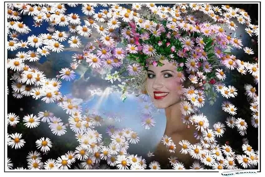 Весна уходит. Пусть все расцветет. Черёмуха белая. Поздравляем яблоня в цвету. Пусть все расцветет.