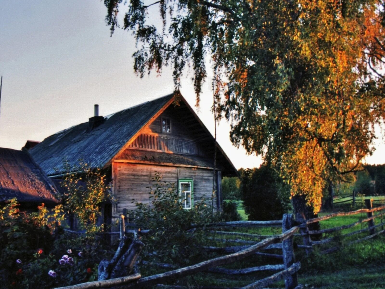 У меня есть деревня. Деревня изба река береза. деревенский домик. красивый деревенский дом. деревня летом.