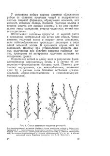 Основание побега