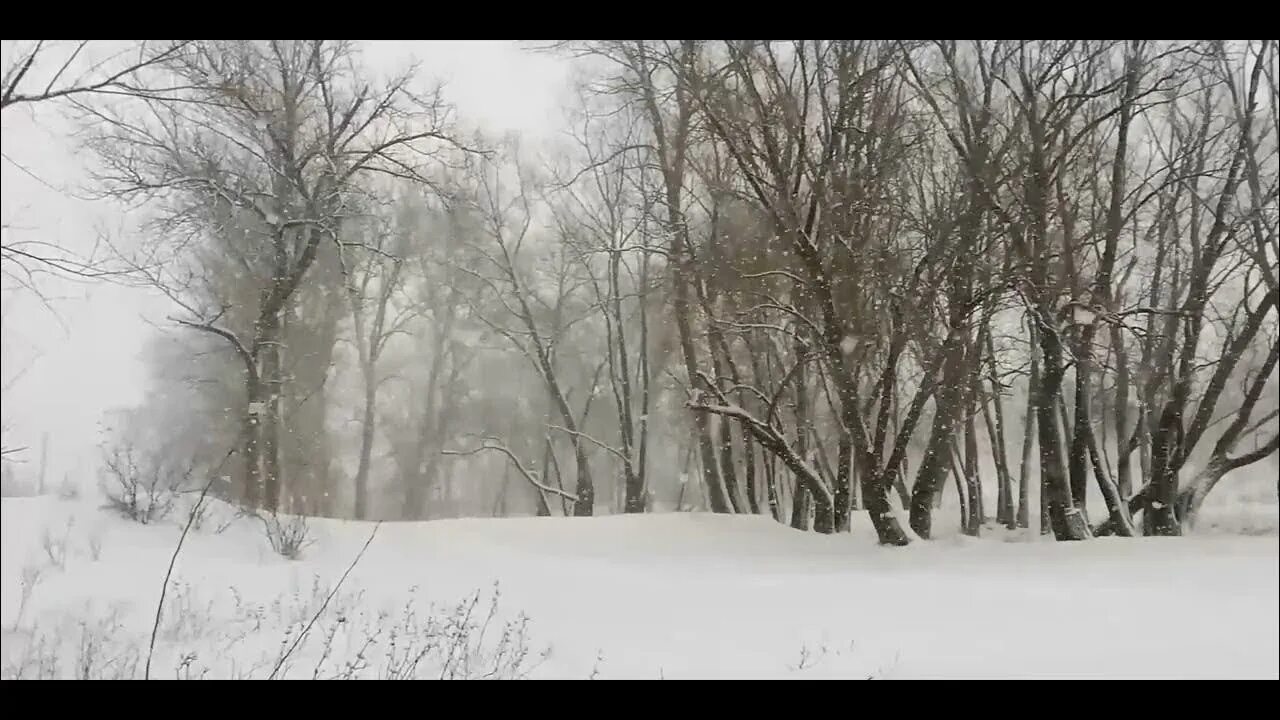 Отшумела злая вьюга стала. Звук вьюги. звук бури зимой. метель вьюга пурга звуки. звук снега.