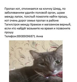 Как можно откликаться на имя