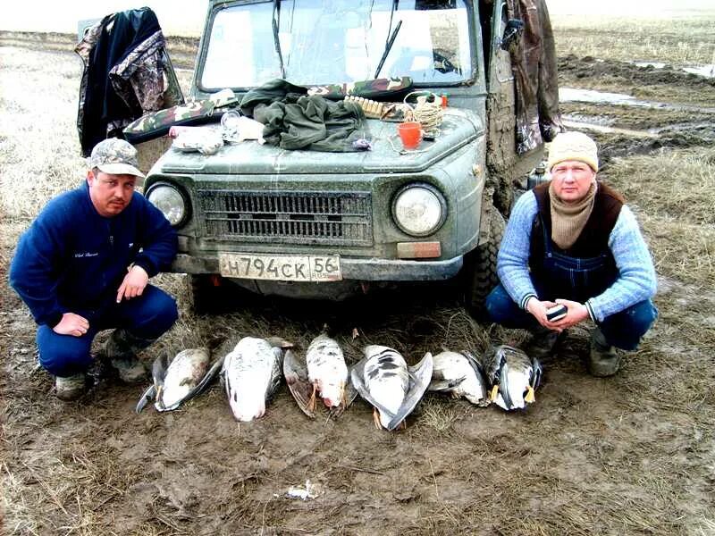 Красный чабан орск. Красный чабан. Красный чабан оренбургская область. Красный чабан новости. Красный чабан орск.