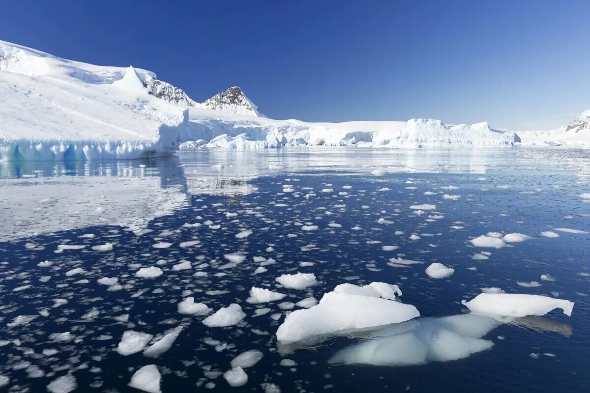 Свободный ото льда участок антарктиды. Таяние льдов в Антарктиде. Таяние ледников в Арктике. Таяние ледника в Антарктиде.. Таяние ледников глобальное потепление.
