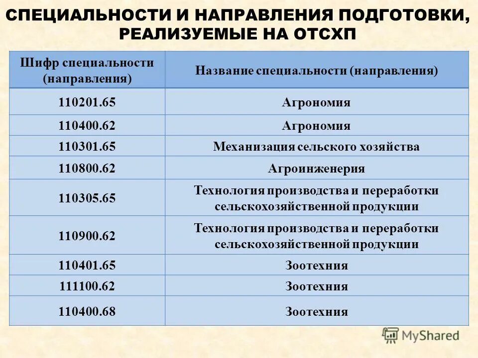 Наименование специальности и специализации. Название специализации. Название специализации. Название учебного заведения, факультета. Отрасли экономики перечень.