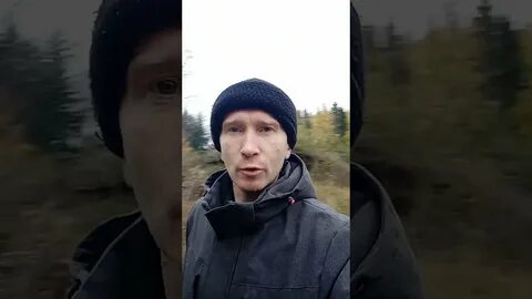 Похоже на конец