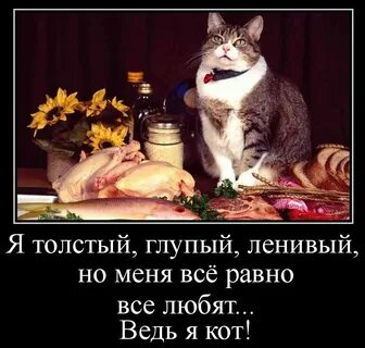День жирного