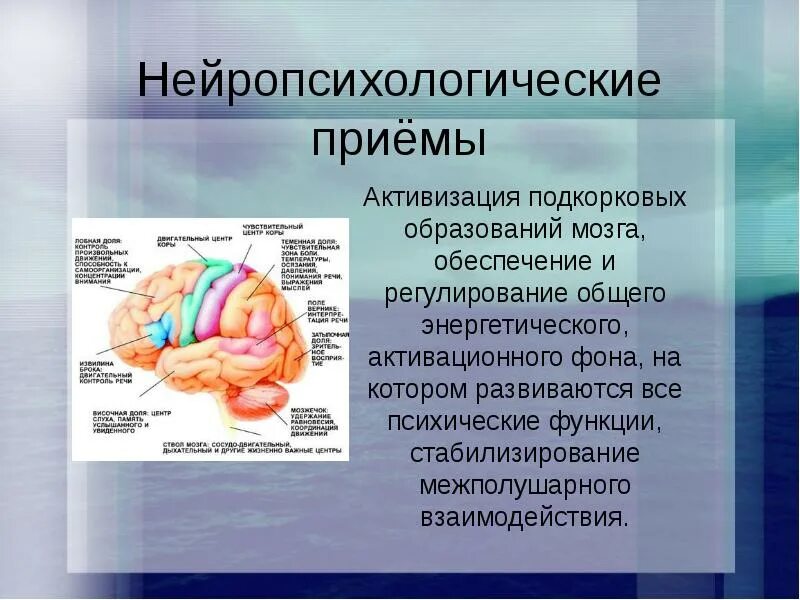 Подкорковые образования мозга