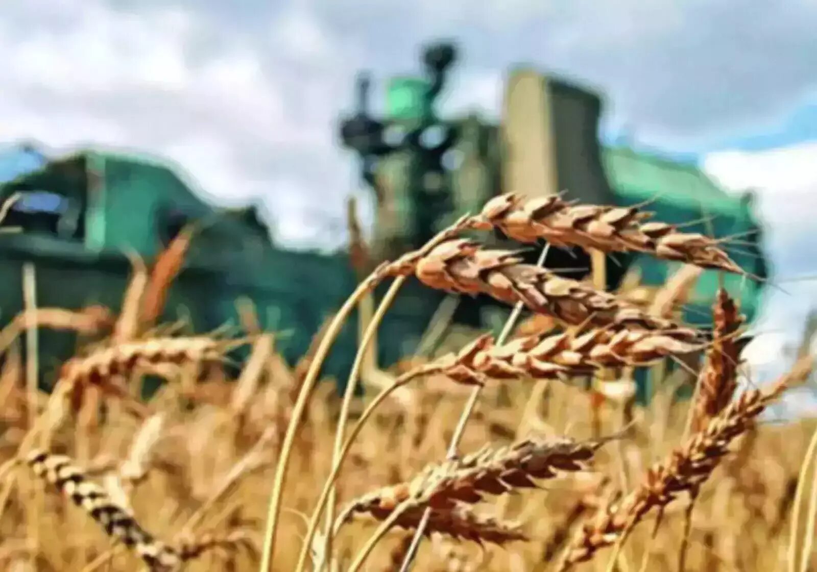 Субсидия на зерновые культуры. Пшеница груз. Субсидия на зерновые культуры. Прибыль сельского хозяйства емисс. Сельскохозяйственная промышленность.