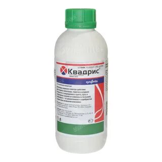 Квадрис