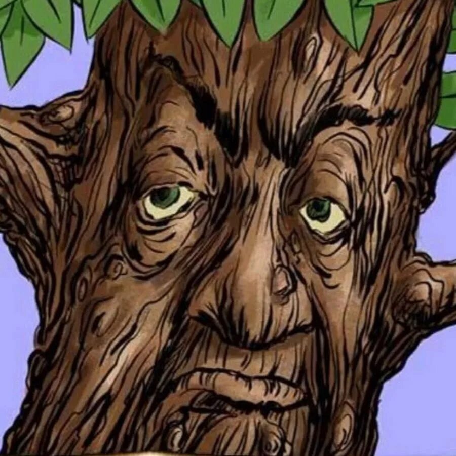 Картинки лицо дерево. Дуб с лицом. Смешной дуб. Говорящее дерево. Злой дуб.