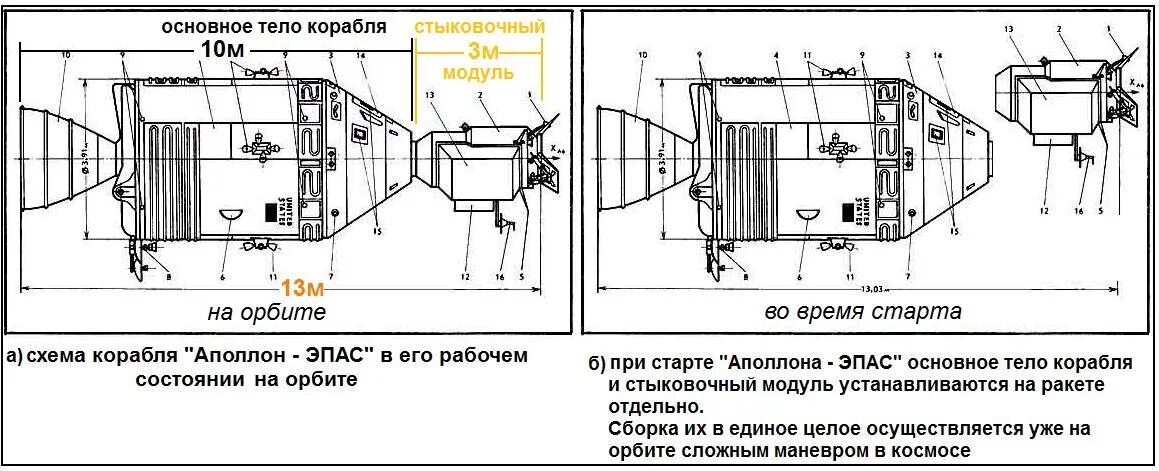 Размеры аполлона