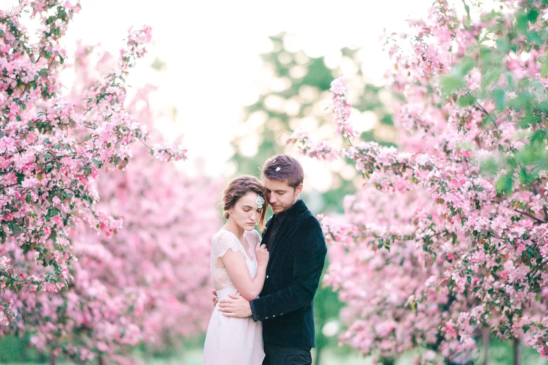 Пара яблонь. Свадьба в цветущем саду. Весенняя фотосессия. Влюбленные в весеннем саду.