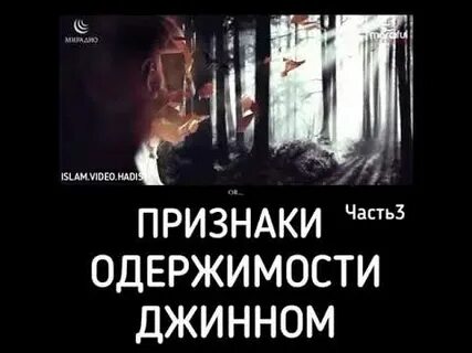 Одержим джинами