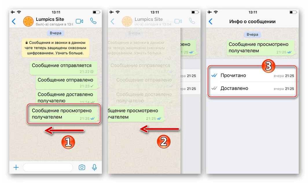 Что означает расположение статуса изменено в вацапе. Статусы сообщений в WHATSAPP. Галочки в ватсапе. Галочки в ватсапе что означает. Одна галочка в вацапе.