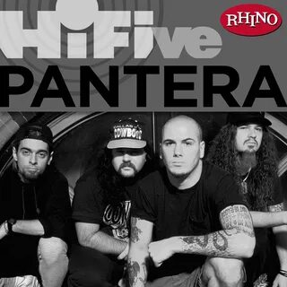 Pantera im broken