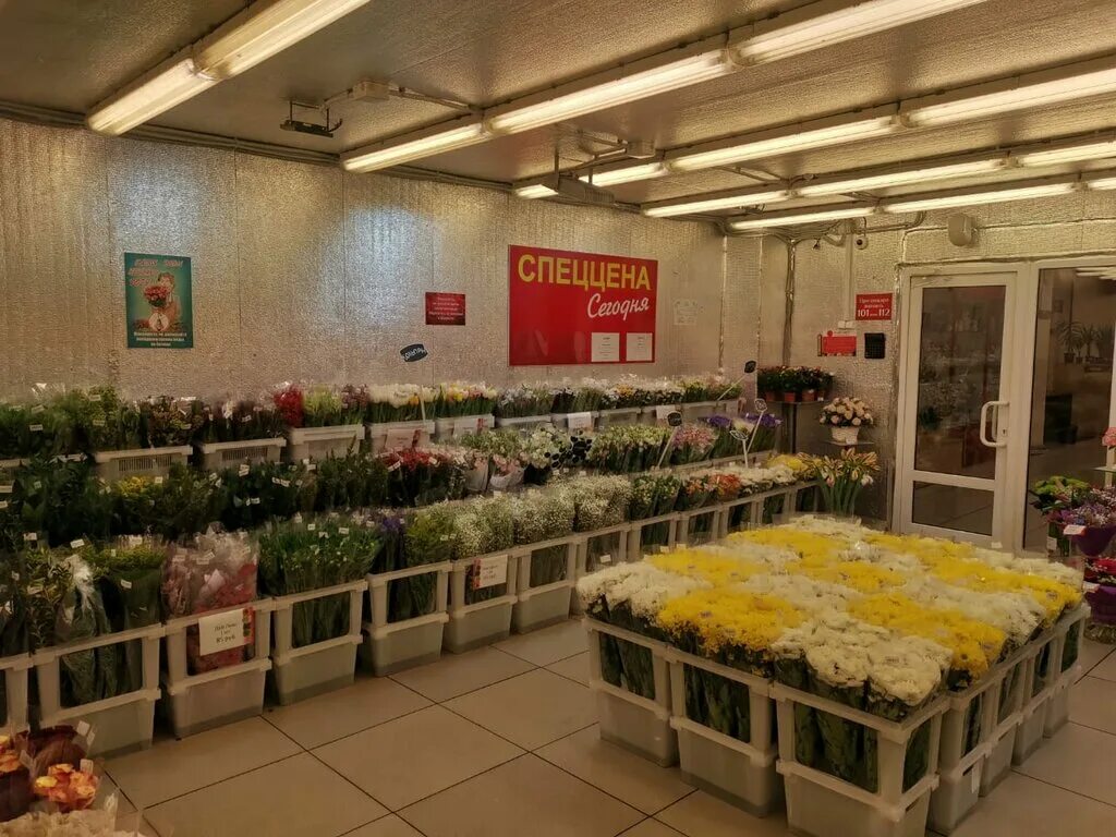 Союзцветторг логотип. Союзцветторг водный стадион. Шоссе энтузиастов 31с39. Союзцветторг аннино. Ру.