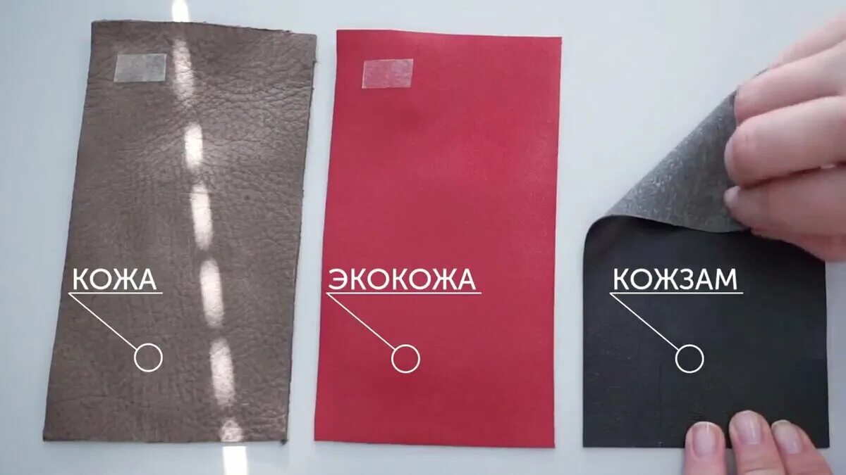Что лучше кожа или искусственная кожа. Натуральная кожа и экокожа. кожа и экокожа отличия. экокожа и искусственная кожа отличия. экокожа и натуральная кожа отличия.