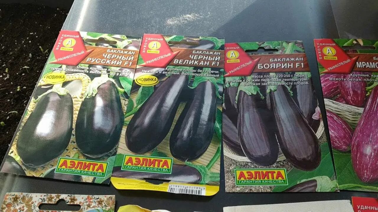 Баклажаны семена лучшие сорта для открытого грунта. Баклажаны агат ф1. баклажан агат f1, раннеспелый. баклажан король севера f1.