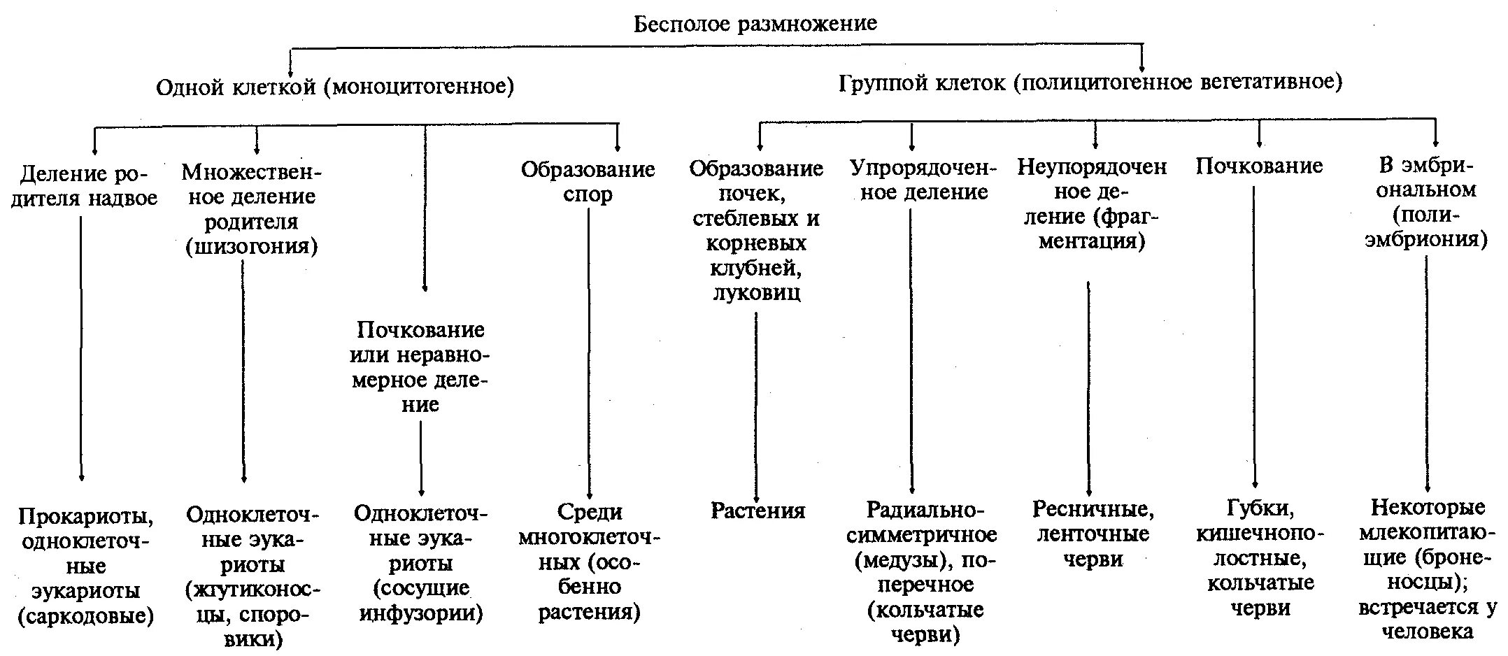 Формы размножения. Схему способов бесполого размножения организмов.. схема размножение бесполого размножения. типы бесполого размножения схема. схема формы размножения бесполое половое.