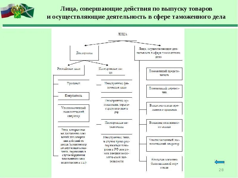 Таможенные операции действия. Схема таможенных операций. Таможенные операции виды. Лица совершающие таможенные операции. Классификация таможенных операций.