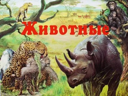 Включи книгу животные