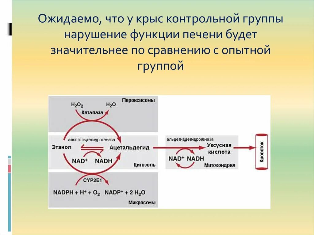 Сравнении с контрольной группой