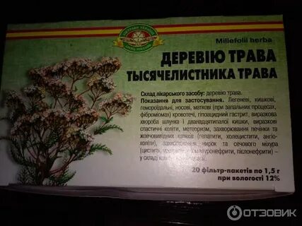 Тысячелистник трава инструкция
