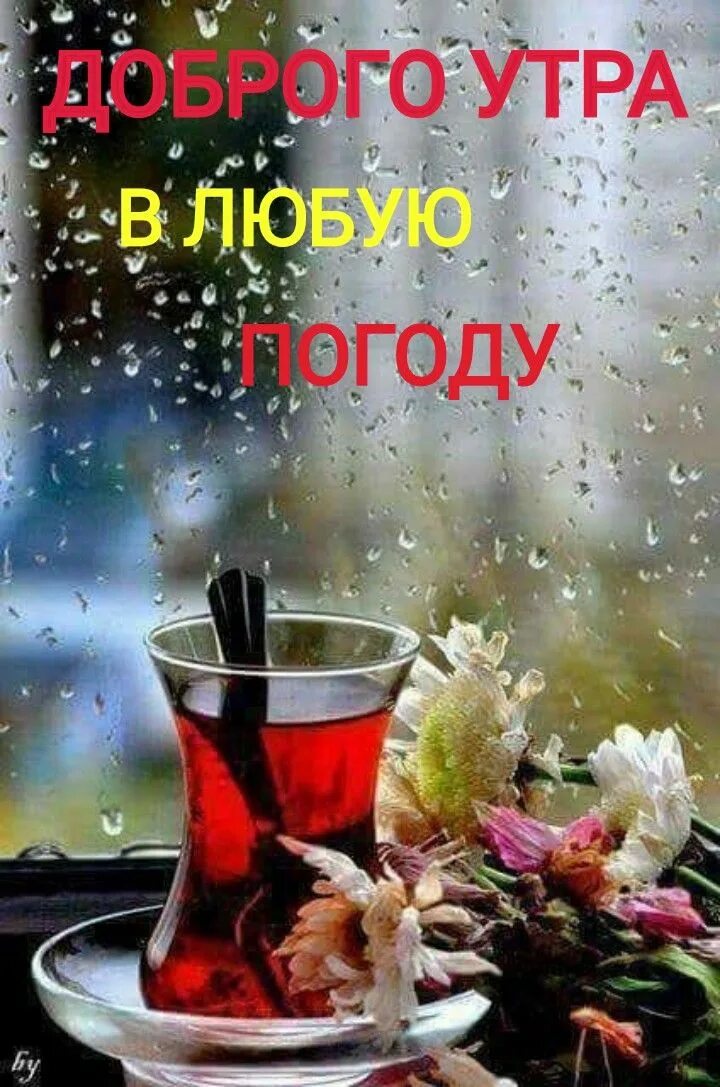 Доброе утро октября дождь картинки позитивные красивые