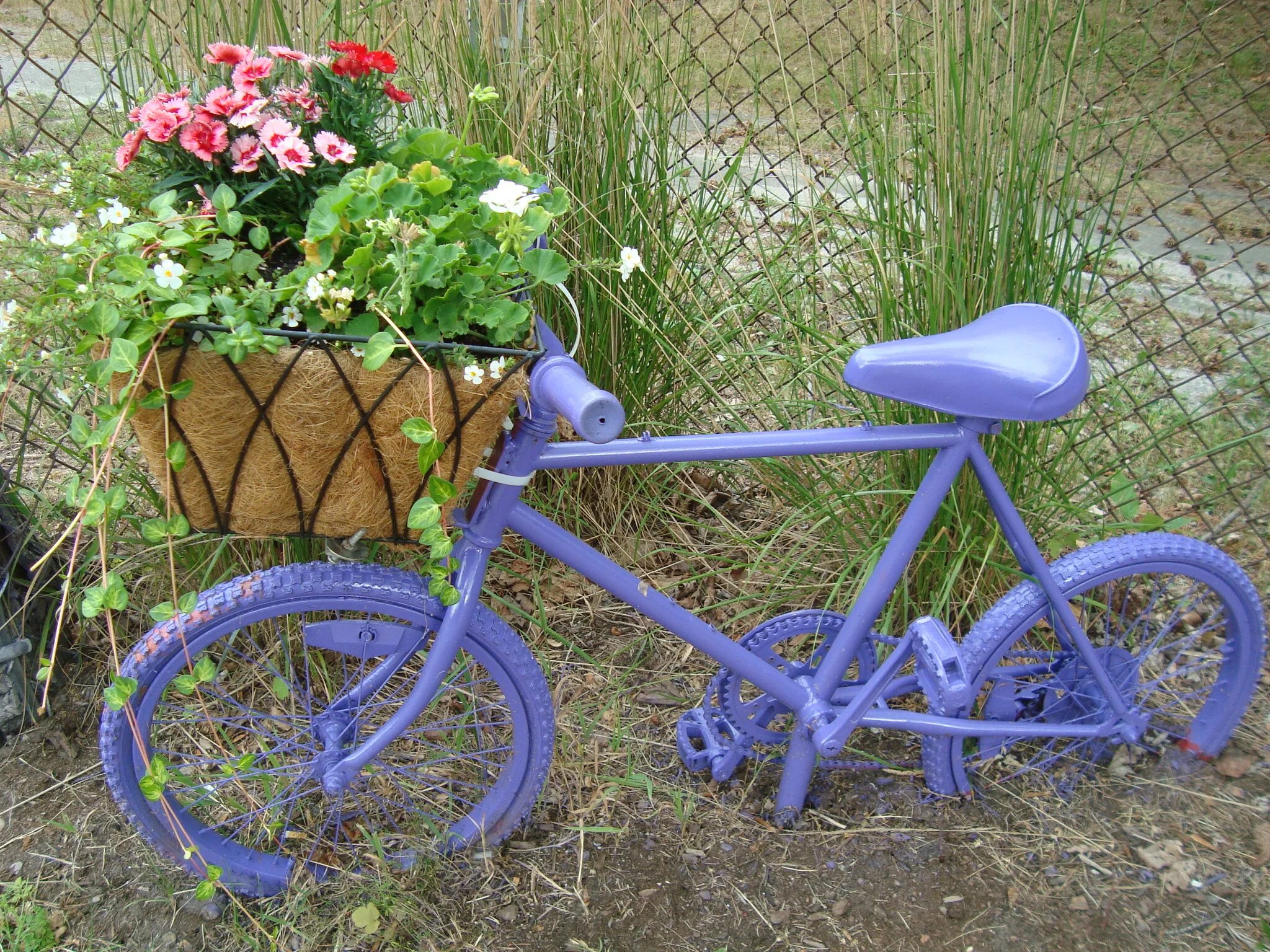 необычные клумбы для цветов. из старого велосипеда сделать. из старого велосипеда сделать. велосипед в ландшафтном дизайне. самоделки из старого велосипеда.